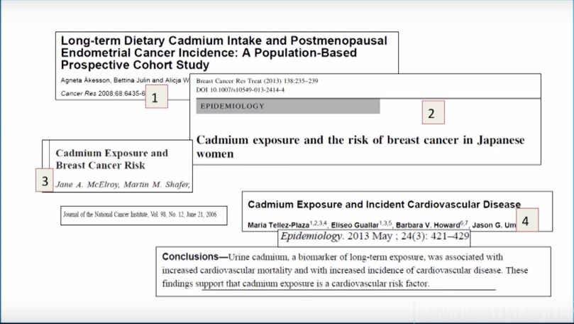 Diverses études sur l'exposition au Cadmium & les risques por la santé